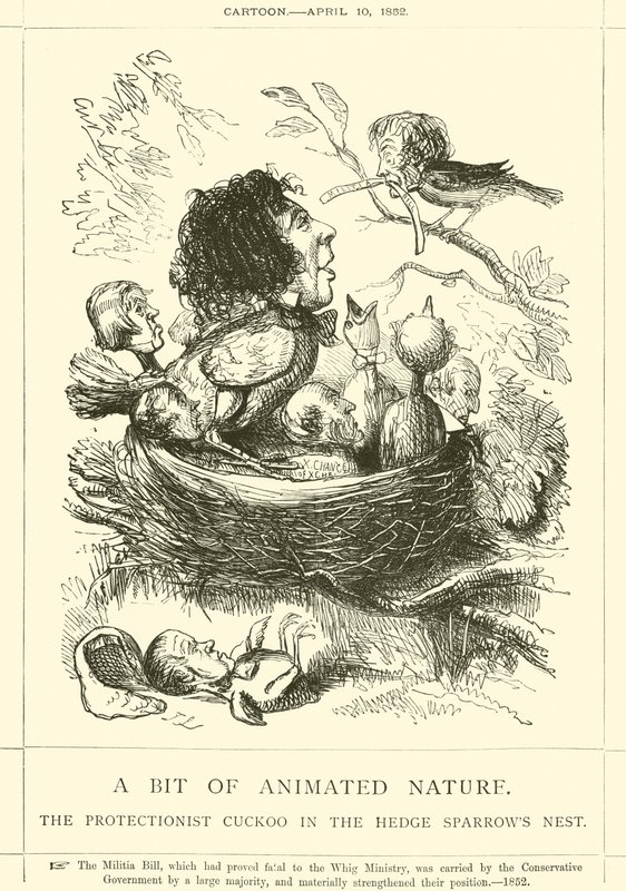 Un Poco de Naturaleza Animada, El Cuco Proteccionista en el Nido de los Gorriones de John Leech