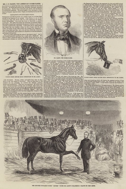 Sr. J S Rarey, el domador de caballos americano de John Leech