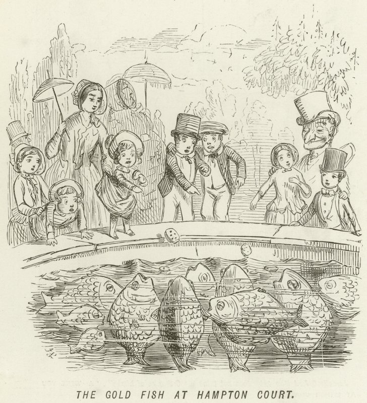 El Pez Dorado en Hampton Court de John Leech