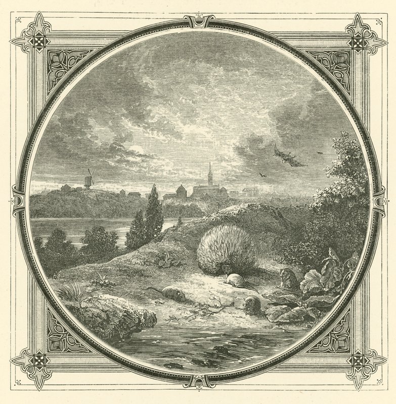 Juega, pero castamente de John Leighton