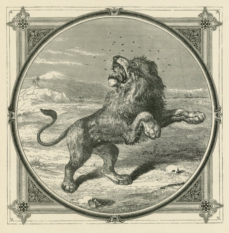 El mosquito pica los ojos del león de John Leighton