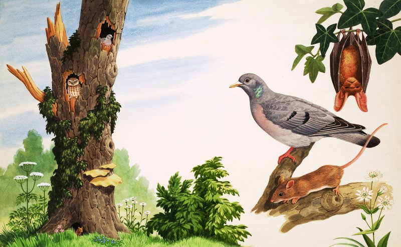 El árbol muerto de John Rignall