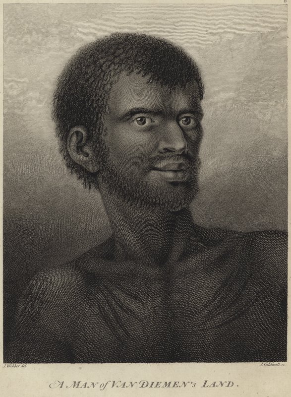 Un hombre de la Tierra de Van Diemen de John Webber