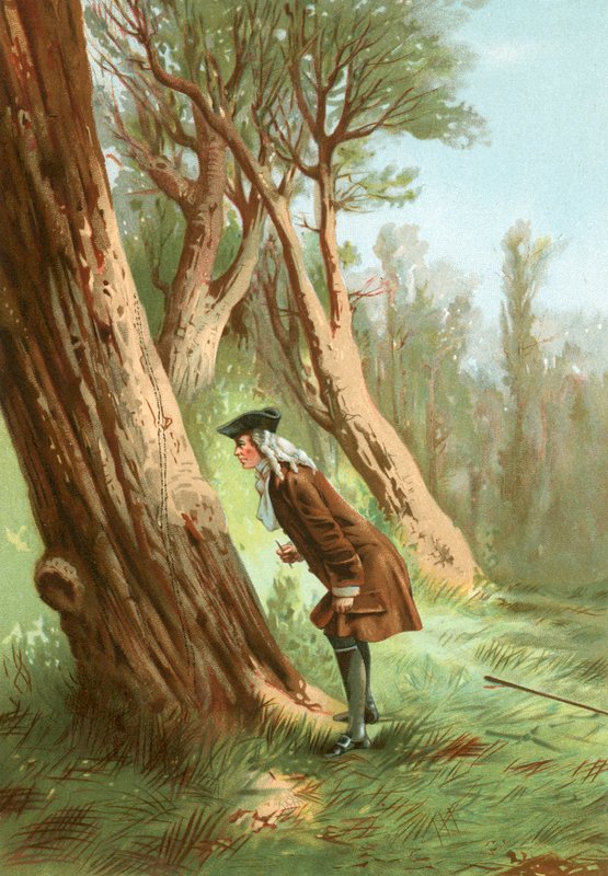 Reaumur estudiando insectos de Jose Armet Portanell