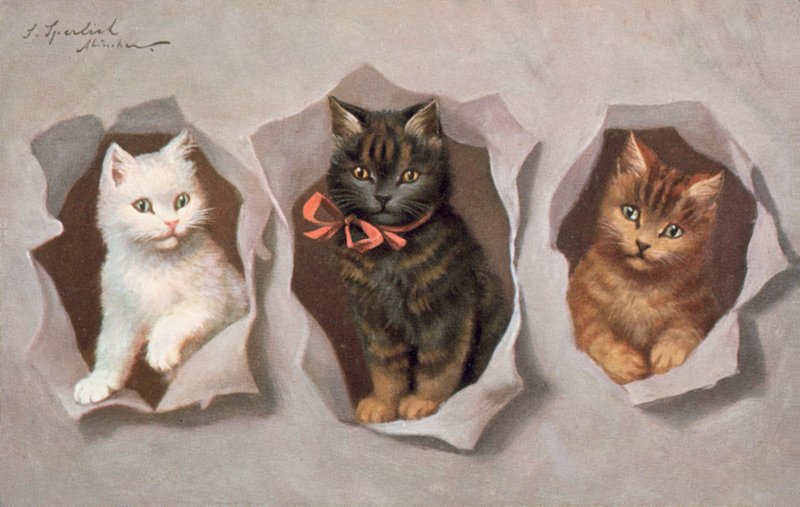 Postal felina (litografía en color) de Josef Sperlich