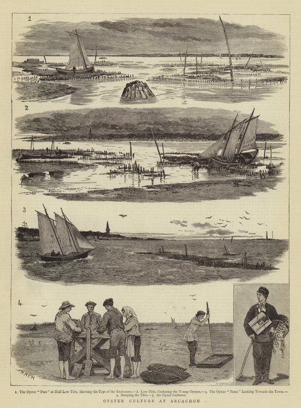 Cultura de ostras en Arcachon de Joseph Nash