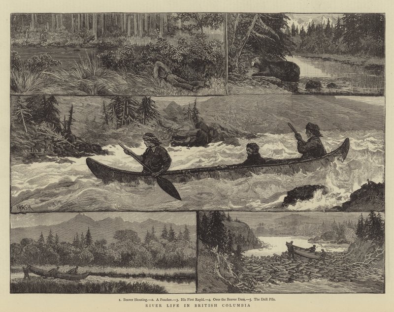 Vida fluvial en Columbia Británica de Joseph Nash