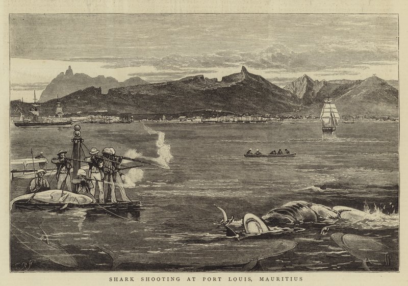 Disparo de tiburones en Port Louis, Mauricio de Joseph Nash