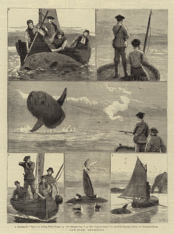 Caza de peces luna de Joseph Nash