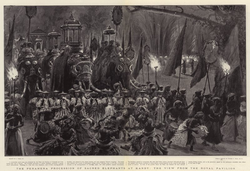 La procesión Perahera de elefantes sagrados en Kandy, la vista desde el Pabellón Real de Joseph Nash
