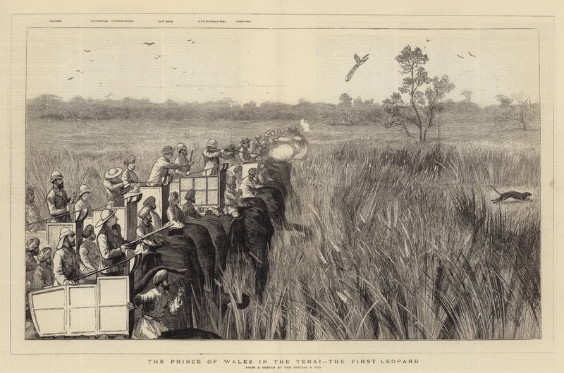 El Príncipe de Gales en el Terai, el primer leopardo de Joseph Nash