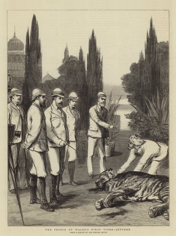 El primer tigre del Príncipe de Gales, Jeypore de Joseph Nash