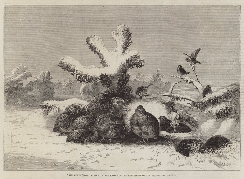 La Bandada, de la Exposición de la Institución Británica de Joseph Wolf