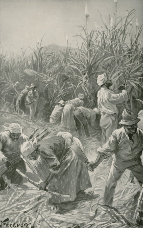Negro Trabajando en una Plantación de Caña de Azúcar en Jamaica de Joseph (after) Finnemore