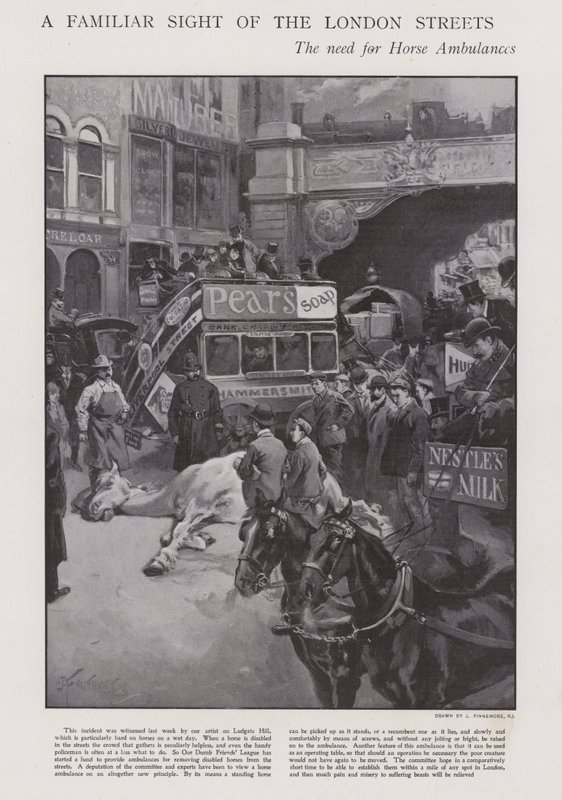 La necesidad de ambulancias para caballos en las calles de Londres (litografía) de Joseph (after) Finnemore