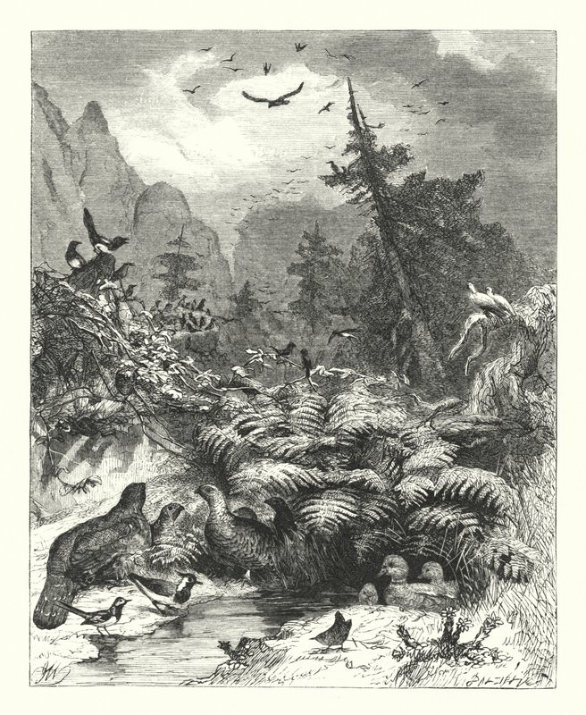 Búsqueda de Dios de Joseph (after) Wolf