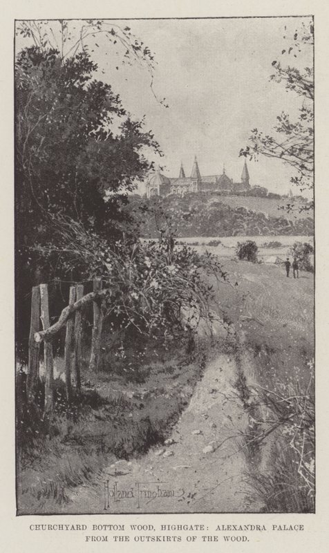 Churchyard Bottom Wood, Highgate, Alexandra Palace desde las afueras del bosque de Joseph Holland Tringham