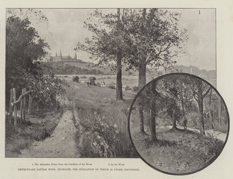 Churchyard Bottom Wood, Highgate, cuya expoliación está en discusión de Joseph Holland Tringham