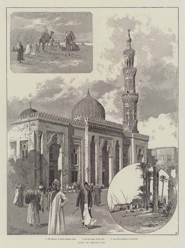 Vida en Egipto de Joseph Holland Tringham
