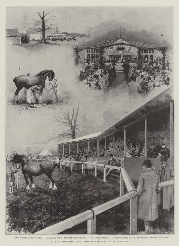 Venta de caballos Shire en la granja del Príncipe de Gales, Wolferton de Joseph Holland Tringham