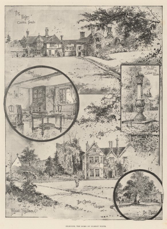 Selborne, el hogar de Gilbert White de Joseph Holland Tringham