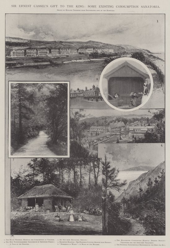 El regalo de Sir Ernest Cassel al rey, algunos sanatorios existentes para la tuberculosis de Joseph Holland Tringham