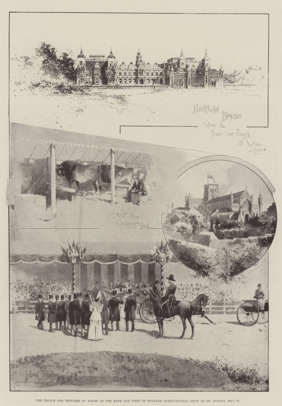 El Príncipe y la Princesa de Gales en la Feria Agrícola del Oeste de Inglaterra en St Albans, 29 de mayo de Joseph Holland Tringham