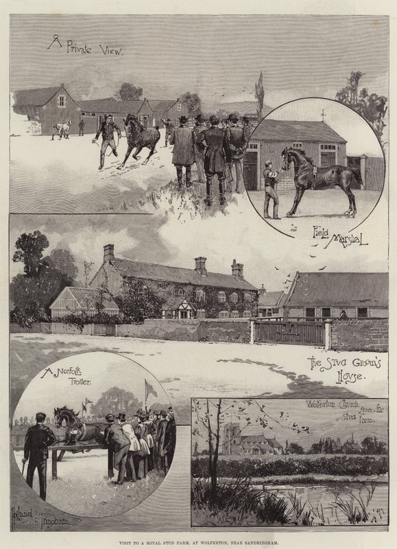 Visita a una Granja de Estudio Real, en Wolferton, cerca de Sandringham de Joseph Holland Tringham