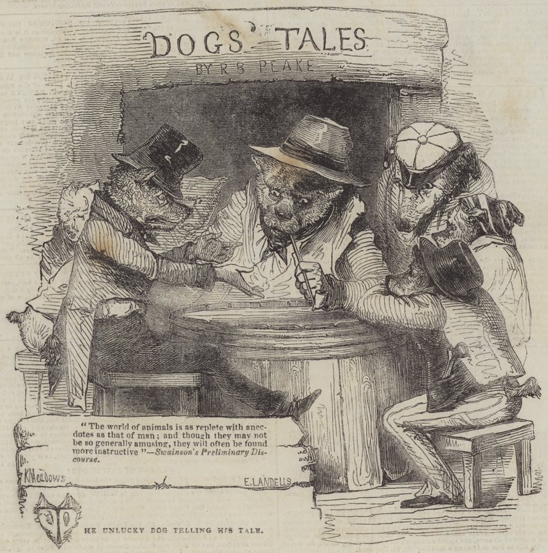 El Perro Desafortunado contando su Historia de Joseph Kenny Meadows