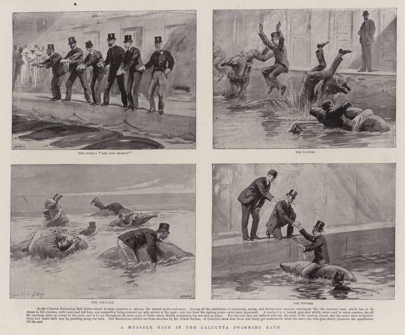 Una carrera de Mussuck en el baño de natación de Calcuta de Joseph Nash