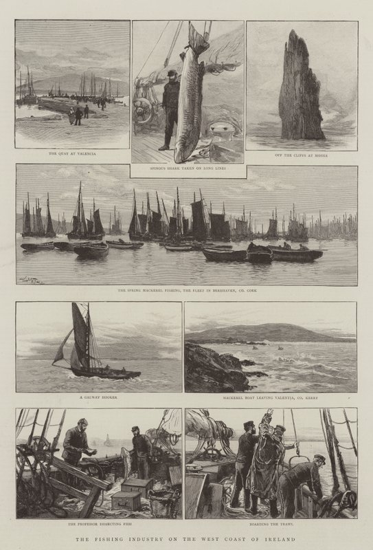 La industria pesquera en la costa oeste de Irlanda de Joseph Nash