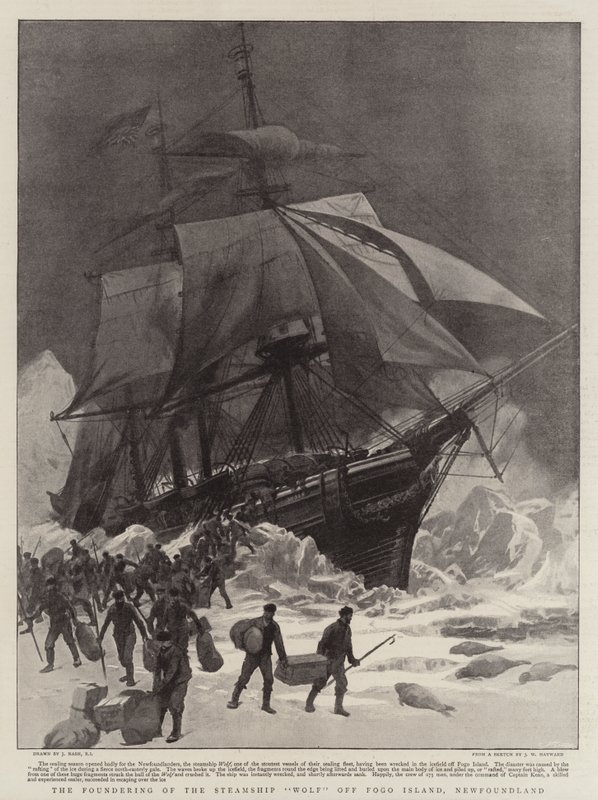 El naufragio del vapor Wolf frente a la isla Fogo, Terranova de Joseph Nash