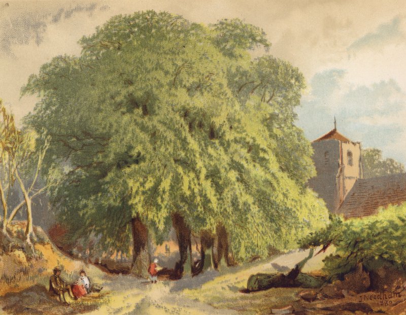 Escena de pueblo, limas (litografía en color) de Joseph Needham