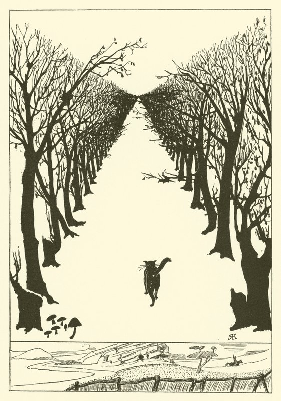 El gato que andaba solo de Joseph Rudyard (after) Kipling