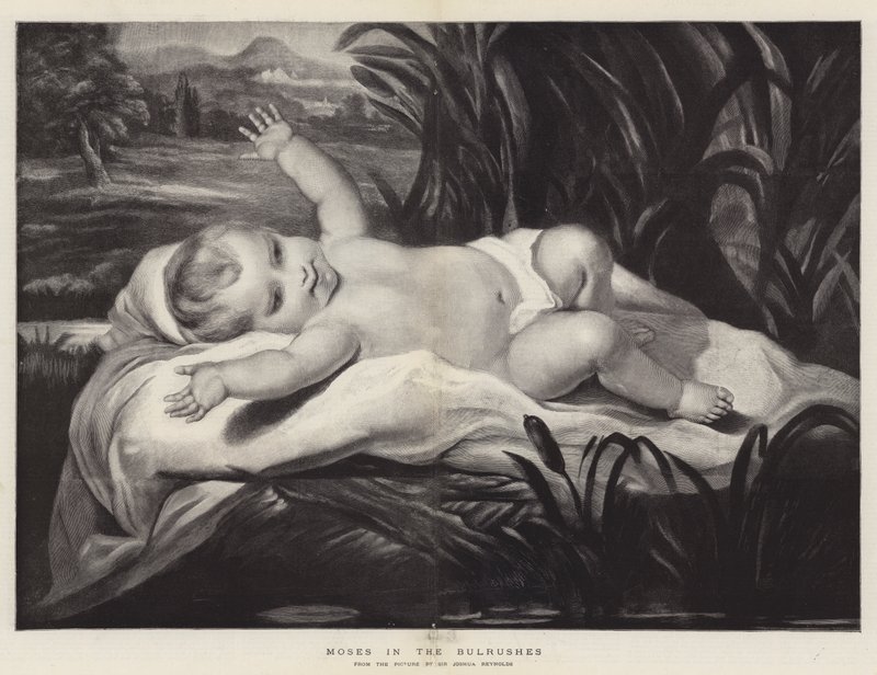 Moisés en los juncos de Joshua Reynolds