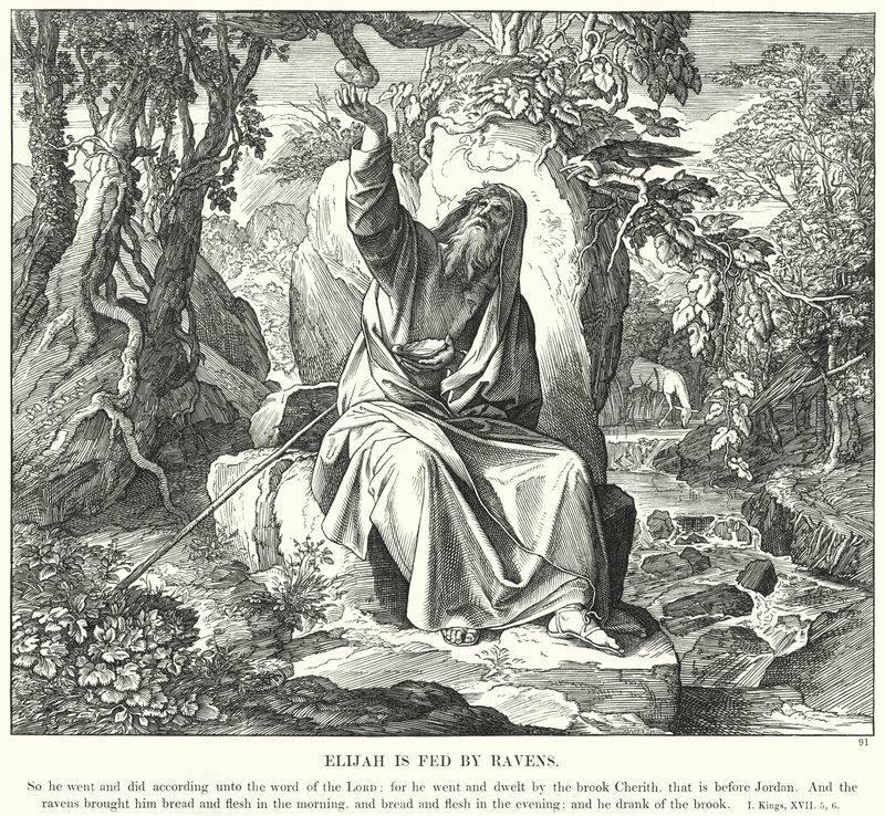 Elías Alimentado por los Cuervos (grabado) de Julius (after) Schnorr von Carolsfeld