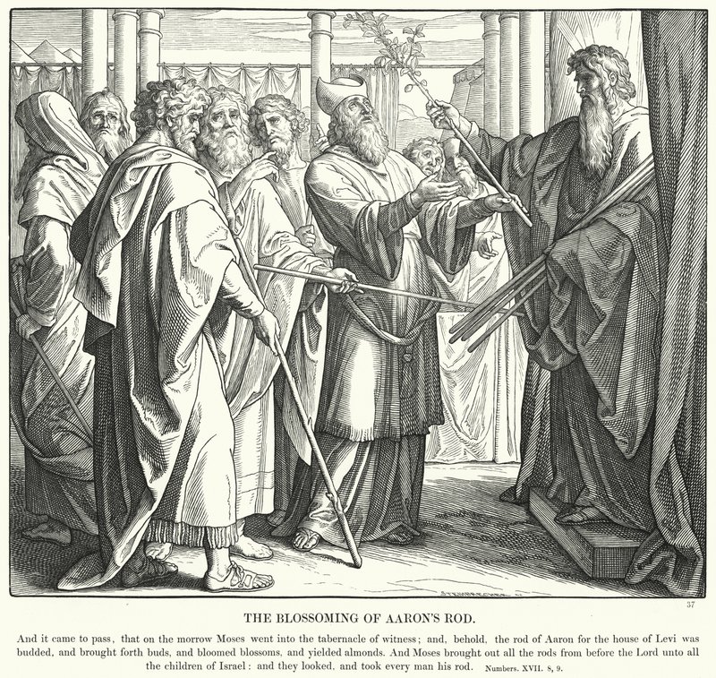 El Florecimiento de la Vara de Aarón de Julius (after) Schnorr von Carolsfeld