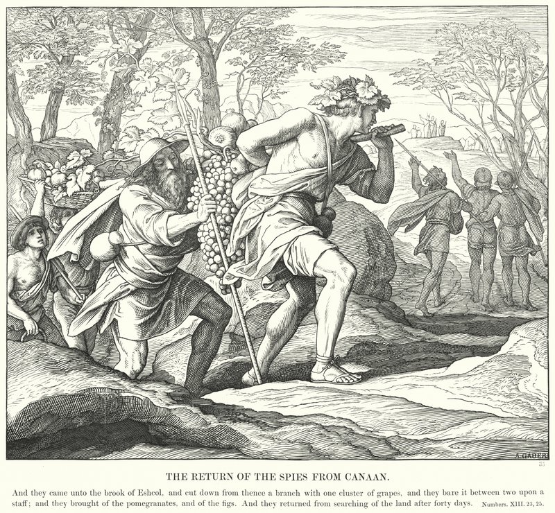 El regreso de los espías de Canaán (grabado) de Julius (after) Schnorr von Carolsfeld