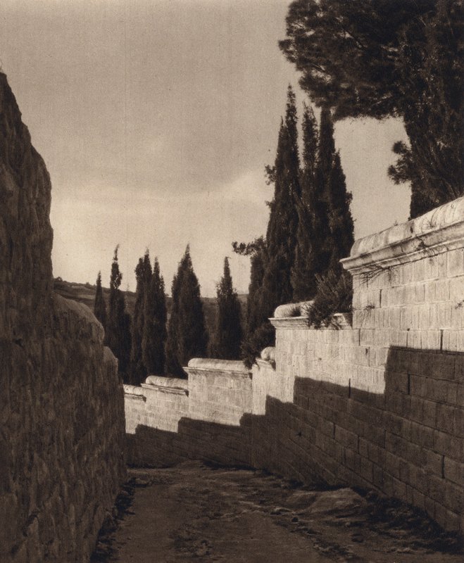 Jerusalén, Huerto de Getsemaní (foto en blanco y negro) de Karl Grober