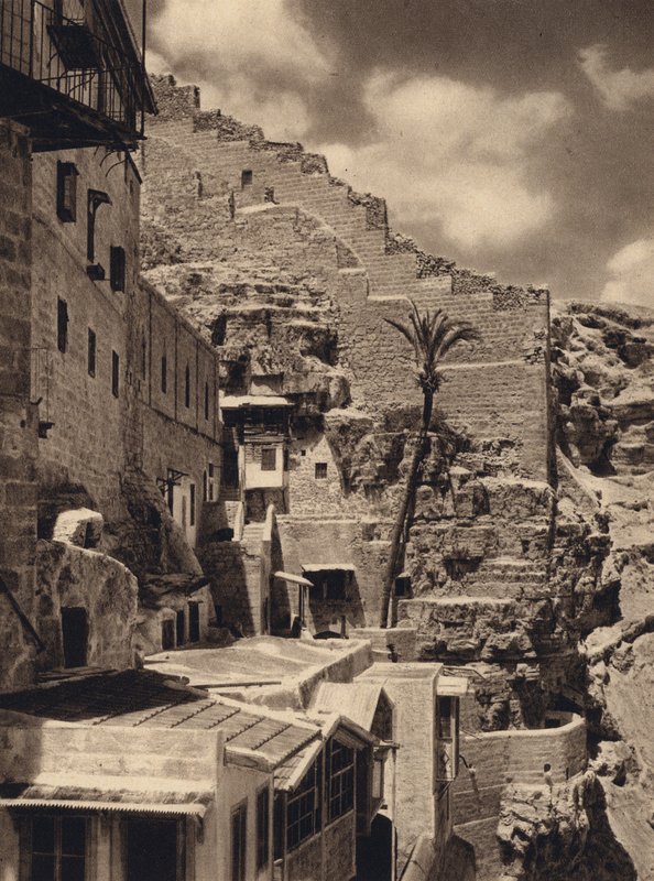Mar Saba, Palma de San Sabas (foto b/n) de Karl Grober