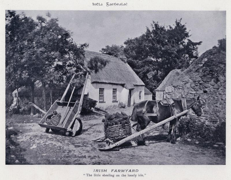 Granja irlandesa de Karl Karlovich Piratsky
