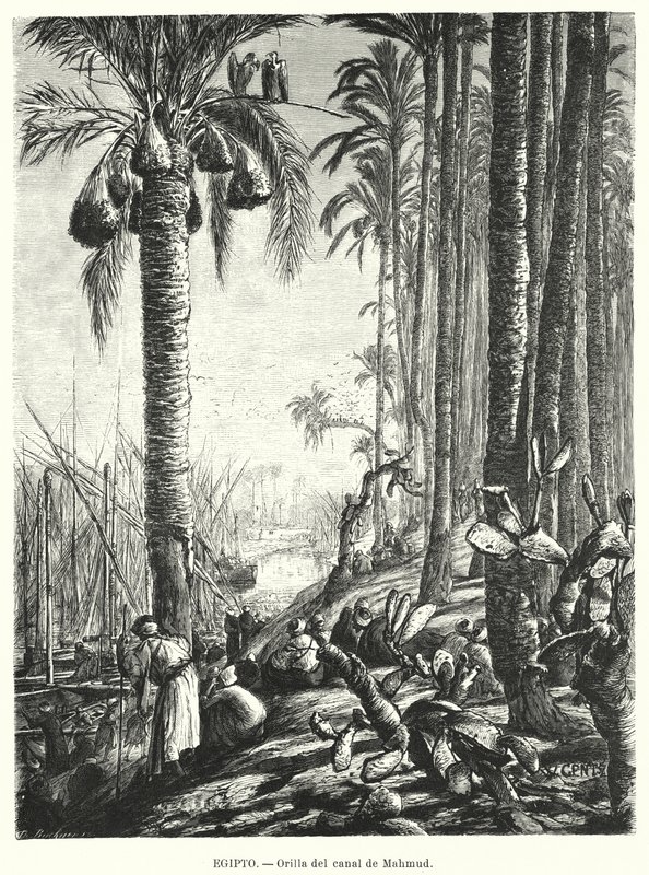 Orillas del canal de Mahmoudiyah, Egipto de Karl Wilhelm Gentz