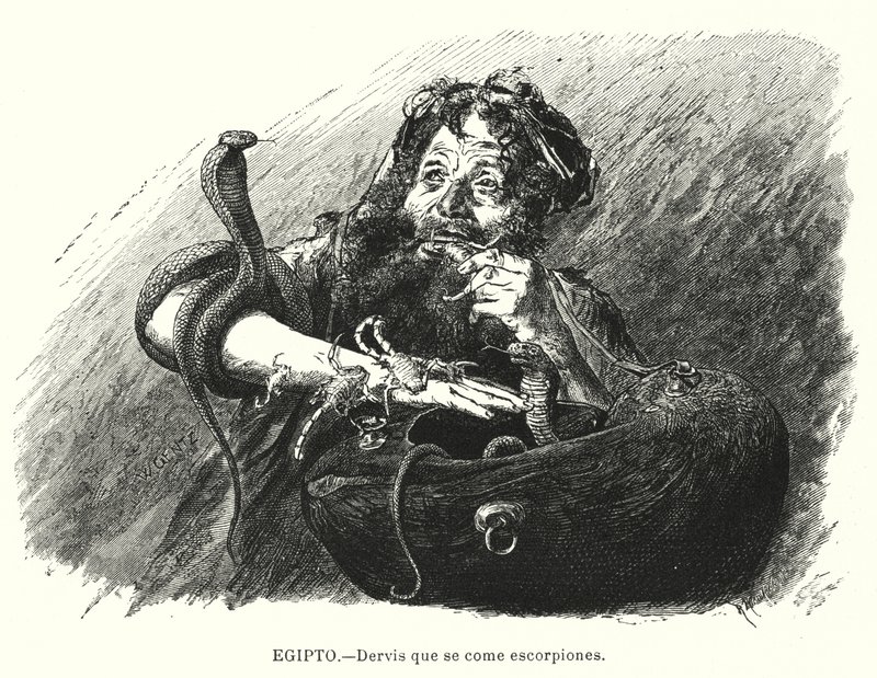 Derviche que come escorpiones, Egipto de Karl Wilhelm Gentz
