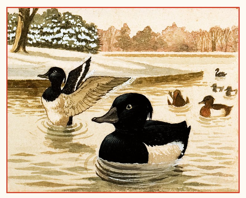 Patos y dragones de Kenneth Lilly