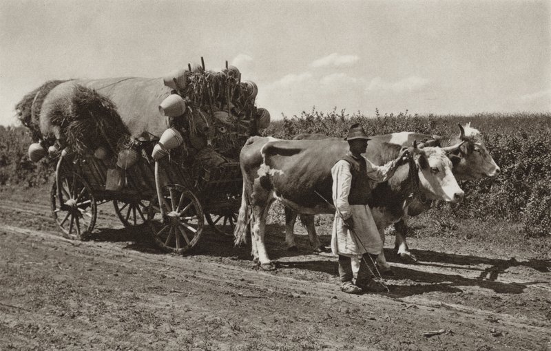 Rumanía: Comerciante de cerámica (foto en blanco y negro) de Kurt Hielscher