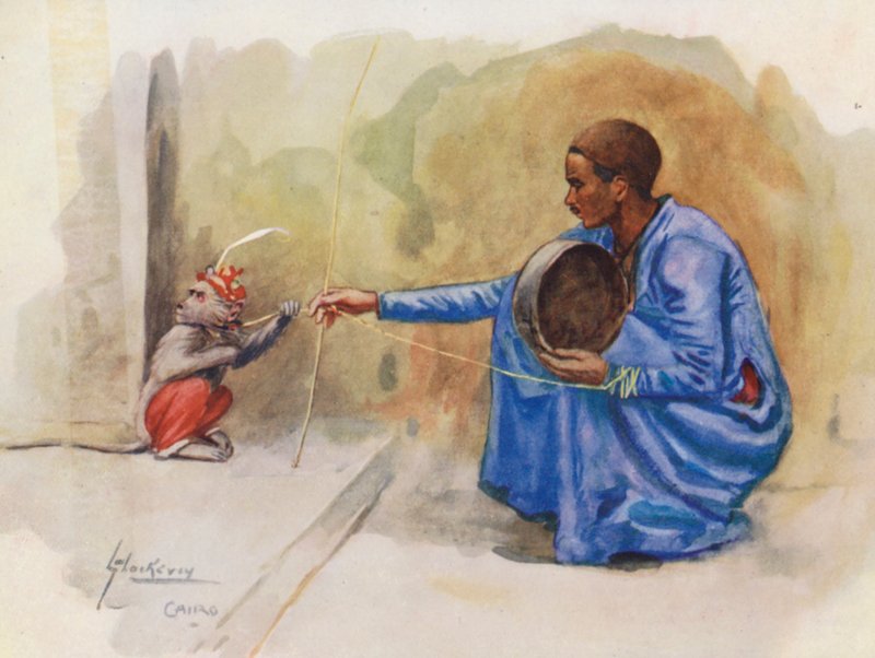 Pueblo de Egipto: Niño Mono, Koradati (litografía en color) de Lance Thackeray