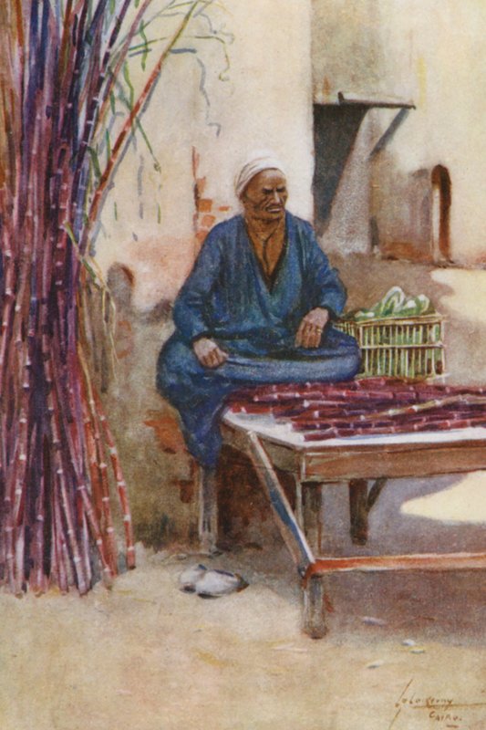 Pueblo de Egipto: Vendedor de caña de azúcar, Baia Kasseb (litografía en color) de Lance Thackeray