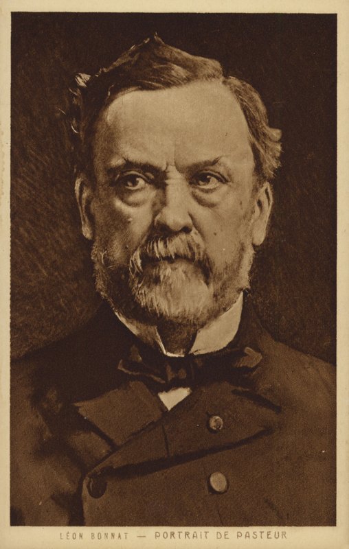 Louis Pasteur (1822-1895), químico y microbiólogo francés de Leon Joseph Florentin Bonnat