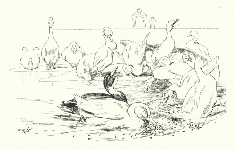 Dama, ¿qué hace que tus patos mueran? de Leonard Leslie Brooke