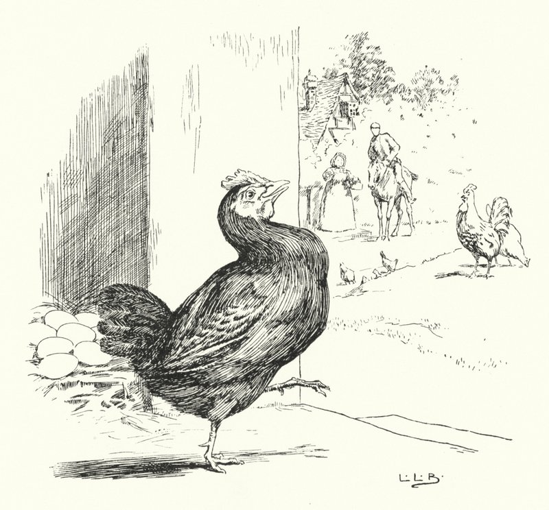 Higgley Piggley, mi gallina negra de Leonard Leslie Brooke